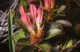 Thumbs/tn_130.jpg