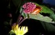 Thumbs/tn_134.jpg