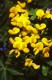 Thumbs/tn_138.jpg