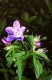 Thumbs/tn_139.jpg