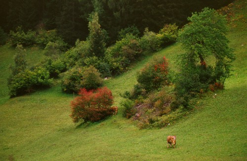 ../Images/154.jpg