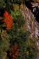 Thumbs/tn_160.jpg