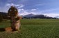 Thumbs/tn_05-10.jpg