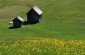 Thumbs/tn_05-16.jpg