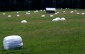 Thumbs/tn_05-3.jpg