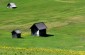 Thumbs/tn_05-5.jpg