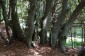 Thumbs/tn_Dsc_9032.jpg