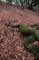 Thumbs/tn_Dsc_9036.jpg