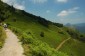 Thumbs/tn_Dsc_9056.jpg