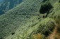 Thumbs/tn_Dsc_9114.jpg