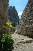 Thumbs/tn_Dsc_7751.jpg