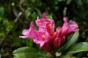 Thumbs/tn_Dsc_7796.jpg
