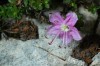 Thumbs/tn_Dsc_7797.jpg