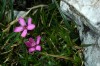 Thumbs/tn_Dsc_7802.jpg
