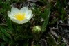 Thumbs/tn_Dsc_7806.jpg