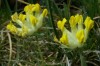 Thumbs/tn_Dsc_7810.jpg