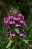 Thumbs/tn_Dsc_7813.jpg