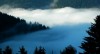 Thumbs/tn_DSC_8314-T.jpg