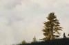 Thumbs/tn_Dsc_8350.jpg