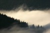 Thumbs/tn_Dsc_8358.jpg