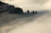 Thumbs/tn_Dsc_8359.jpg