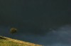 Thumbs/tn_Dsc_8363.jpg