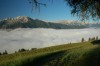 Thumbs/tn_Dsc_8369.jpg