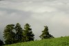 Thumbs/tn_Dsc_8375.jpg