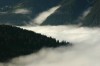Thumbs/tn_Dsc_8377.jpg
