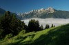 Thumbs/tn_Dsc_8384.jpg