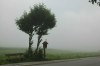 Thumbs/tn_Dsc_8393.jpg