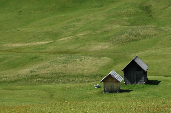 ../Images/Dsc_7603.jpg