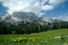 Thumbs/tn_Dsc_7597.jpg