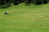 Thumbs/tn_Dsc_7605.jpg