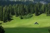 Thumbs/tn_Dsc_7610.jpg