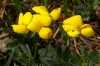 Thumbs/tn_Dsc_7678.jpg