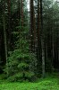 Thumbs/tn_DSC_8280_T.jpg