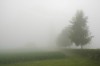 Thumbs/tn_Dsc_8207.jpg