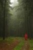 Thumbs/tn_Dsc_8241.jpg