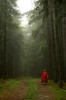 Thumbs/tn_Dsc_8244.jpg