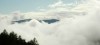 Thumbs/tn_Dsc_8259.jpg