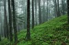 Thumbs/tn_Dsc_8288.jpg