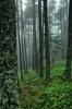 Thumbs/tn_Dsc_8289.jpg