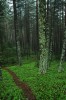 Thumbs/tn_Dsc_8291.jpg