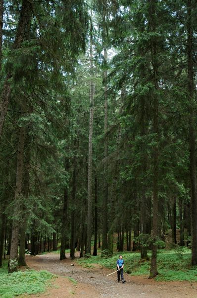 ../Images/Dsc_7196.jpg