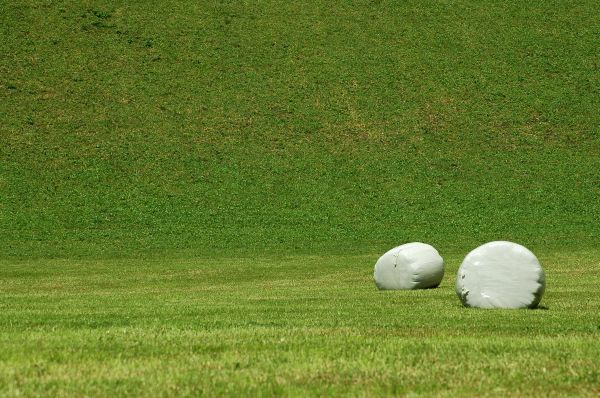 ../Images/Dsc_7223.jpg