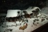 Thumbs/tn_Dsc_7107.jpg