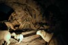 Thumbs/tn_Dsc_7177.jpg