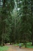 Thumbs/tn_Dsc_7196.jpg
