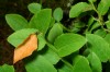Thumbs/tn_Dsc_7213.jpg